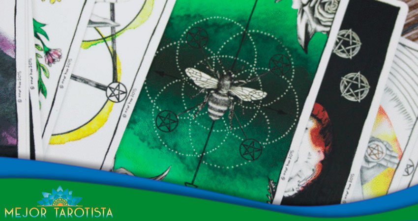 tarot 806 barato - mejor tarotista